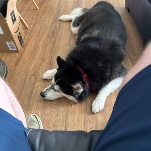 Jewelry Show no cancel